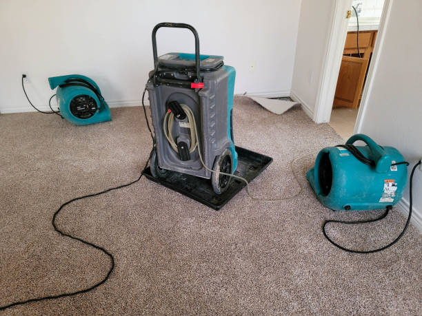 Best Sewage cleanup and water damage restoration  in Blue Earth, MN