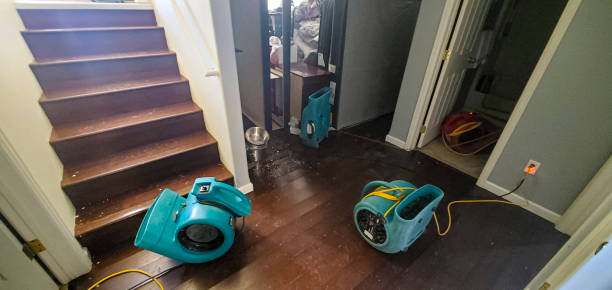Best Local water damage restoration  in Blue Earth, MN