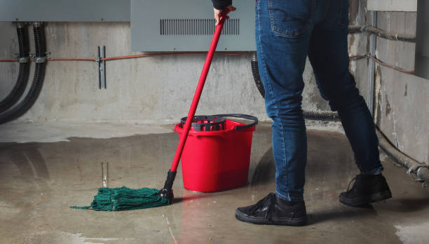 Best Water damage contractors near me  in Blue Earth, MN