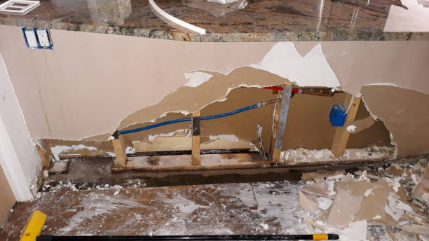 Best Carpet water damage restoration  in Blue Earth, MN