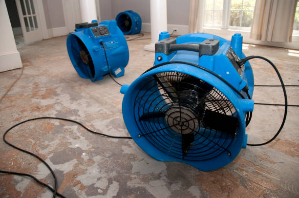 Best Fire Damage Restoration  in Blue Earth, MN