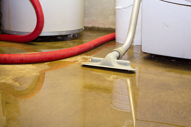 Best Fire Damage Restoration  in Blue Earth, MN