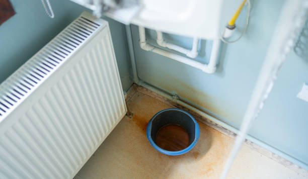 Best Ceiling water damage repair  in Blue Earth, MN