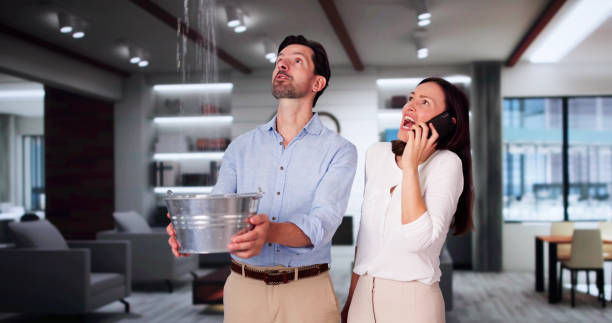 Best Water damage restoration experts  in Blue Earth, MN