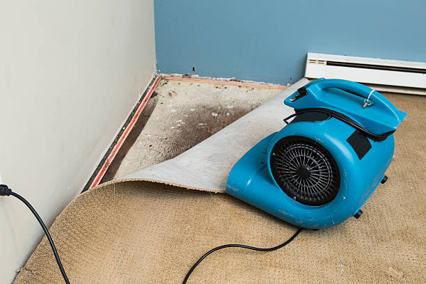  Blue Earth, MN Water damage restoration Pros